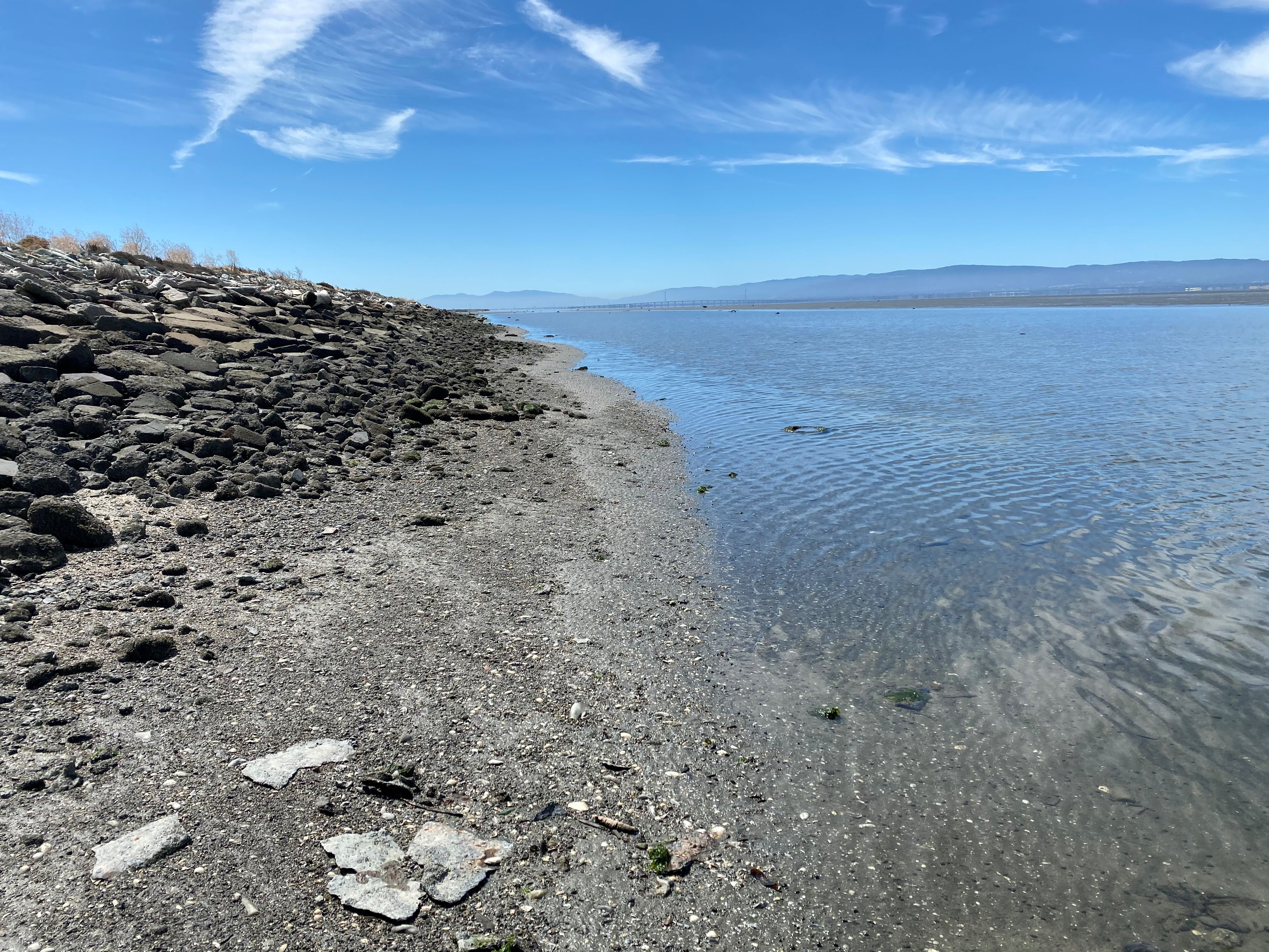 gravel beach berm site at Eden Landing property in Alameda County